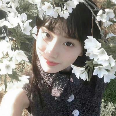 猫与苍蝇