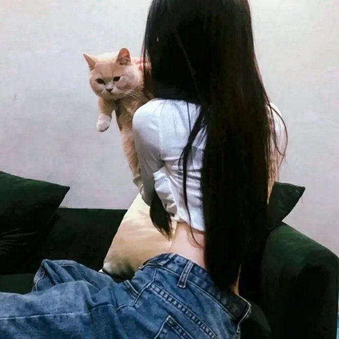 哥特萝莉侦探事件簿